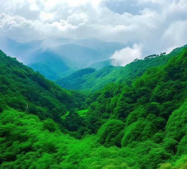 云蒙山，自然与人文交融的绿色秘境之旅,云蒙山旅游景区，大自然的绿色宝库，探寻自然与人文的交融之旅,自然风光,旅游胜地,第1张