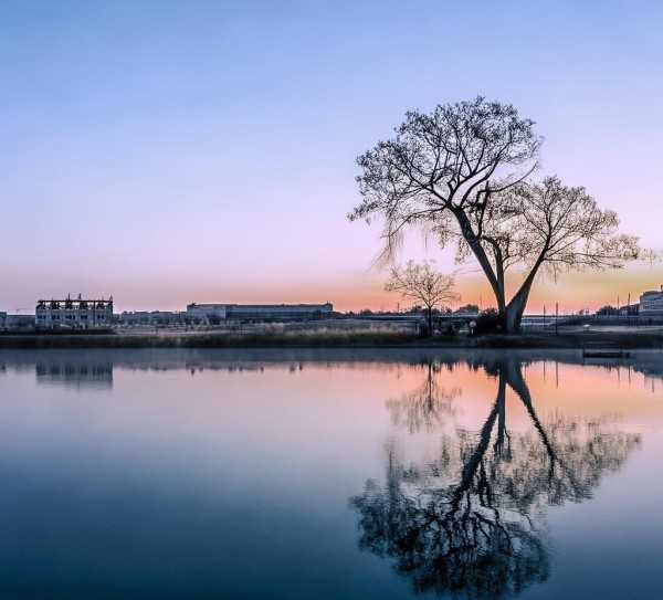 白马湖生态旅游景区，自然人文和谐交响之美
